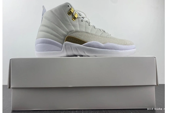 873864-102 OVO White Jordan Retro 12 873864-102 0425